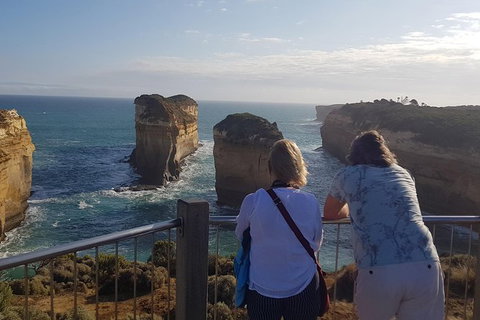 Private Express Experience - 12 Apostles - Find Attractions 23
