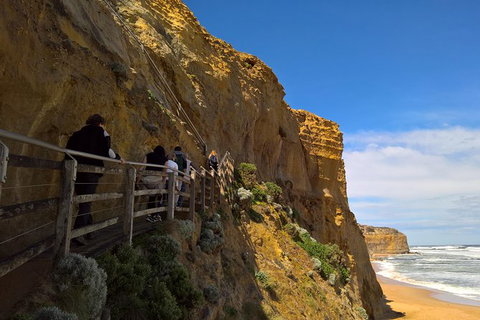 Private Express Experience - 12 Apostles - Find Attractions 15