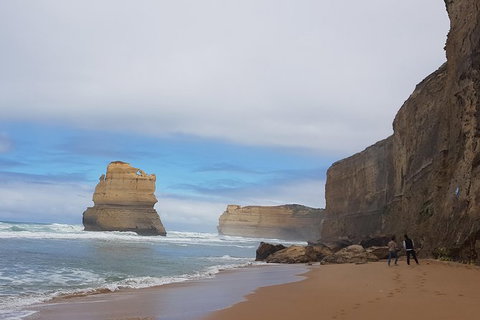 Private Express Experience - 12 Apostles - Find Attractions 4