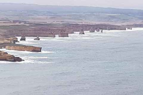 Private Express Experience - 12 Apostles - Find Attractions 5