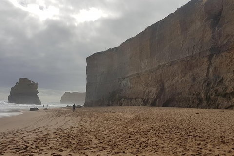 Private Express Experience - 12 Apostles - Find Attractions 21