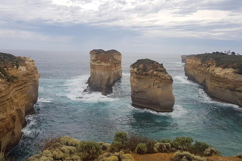 Private Express Experience - 12 Apostles - Find Attractions 16