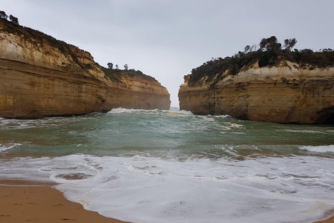 Private Express Experience - 12 Apostles - Find Attractions 7