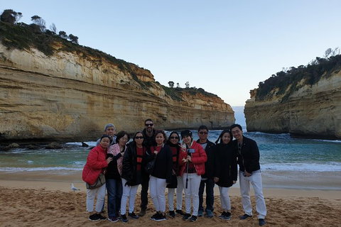 Private Express Experience - 12 Apostles - Find Attractions 24