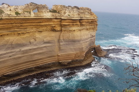 Private Express Experience - 12 Apostles - Find Attractions 22