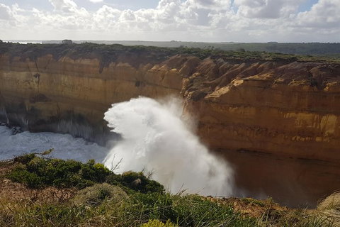 Private Express Experience - 12 Apostles - Find Attractions 11