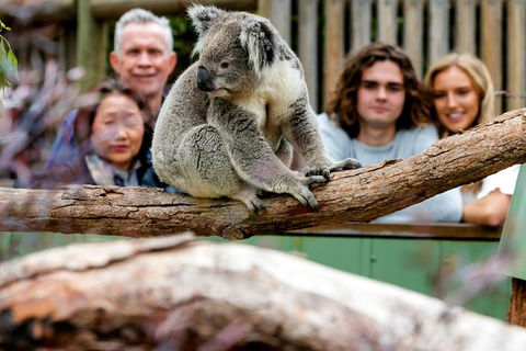 Moonlit Sanctuary Wildlife Conservation Park Daytime General Entry Ticket - Find Attractions 10