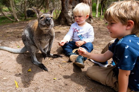 Moonlit Sanctuary Wildlife Conservation Park Daytime General Entry Ticket - Find Attractions 2