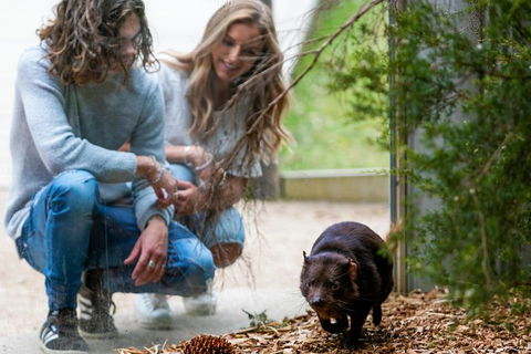 Moonlit Sanctuary Wildlife Conservation Park Daytime General Entry Ticket - Find Attractions 4
