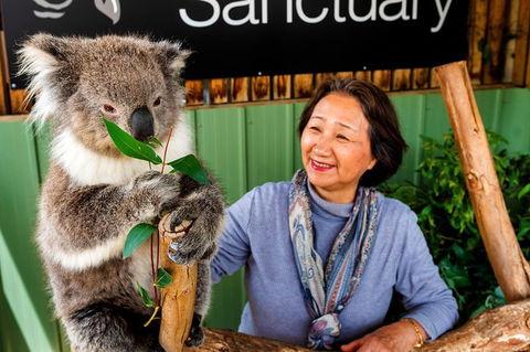 Moonlit Sanctuary Wildlife Conservation Park Daytime General Entry Ticket - Find Attractions 6