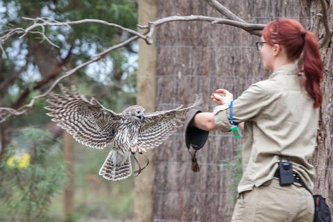 Moonlit Sanctuary Wildlife Conservation Park Daytime General Entry Ticket - Find Attractions 3