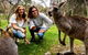 Moonlit Sanctuary Wildlife Conservation Park Daytime General Entry Ticket - thumb 1
