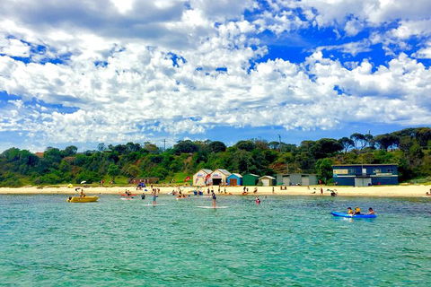 Stand Up Paddle Boarding - Find Attractions 9