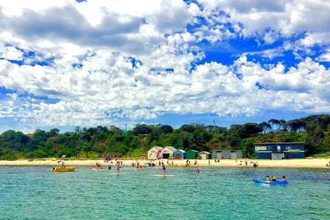 Stand Up Paddle Boarding - Find Attractions 1