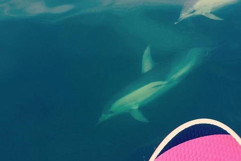 Stand Up Paddle Boarding - Find Attractions 3