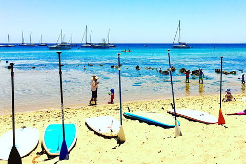 Stand Up Paddle Boarding - Find Attractions 10
