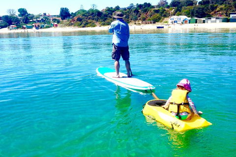 Stand Up Paddle Boarding - Find Attractions 8