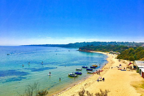Stand Up Paddle Boarding - Find Attractions 5