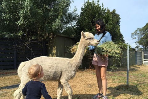 Feed The Animals At Heritage Farm - Find Attractions 2
