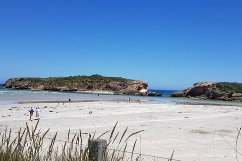 Warrnambool Wanderer Tour - Find Attractions 1