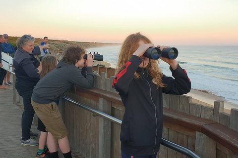 Warrnambool Wanderer Tour - Find Attractions 2