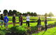 Georgie Bass (Patch 2 Plate) Cooking Classes - thumb 0