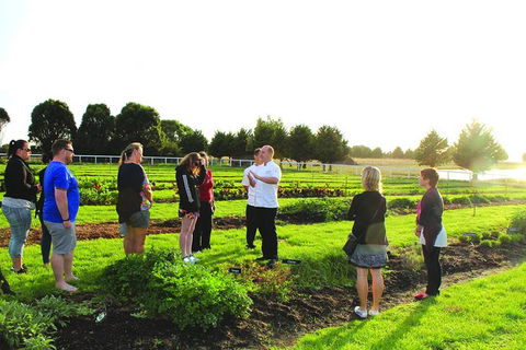 Georgie Bass (Patch 2 Plate) Cooking Classes - Find Attractions 0