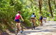 Cycle Tour | Self Guided | Mornington Peninsula Victoria & Wine Region - thumb 0