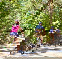 Cycle Tour  Self Guided  Mornington Peninsula Victoria  Wine Region - Find Attractions