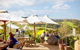 Cycle Tour | Self Guided | Mornington Peninsula Victoria & Wine Region - thumb 2