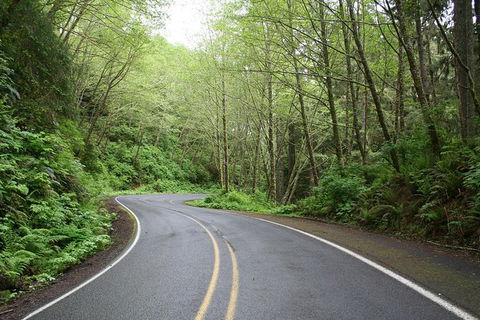Cruise Ship Shore Excursion - Private Great Ocean Road Full Day Tour (12 Hour) - Find Attractions 1