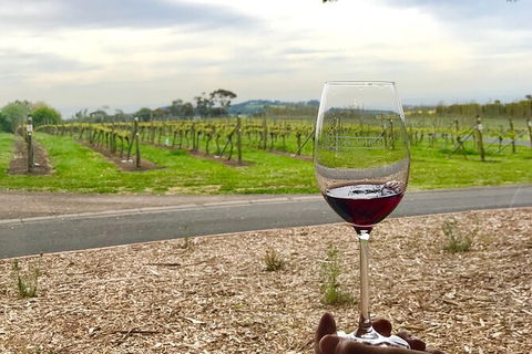 Cycle Tour | Self-Guided | Bellarine Peninsula Victoria | Food & Wine Region - Find Attractions 6