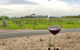 Cycle Tour | Self-Guided | Bellarine Peninsula Victoria | Food & Wine Region - thumb 1