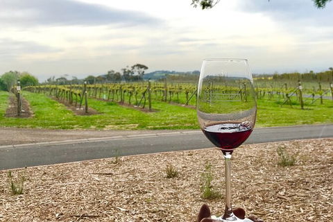 Cycle Tour | Self-Guided | Bellarine Peninsula Victoria | Food & Wine Region - Find Attractions 1