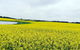 Cycle Tour | Self-Guided | Bellarine Peninsula Victoria | Food & Wine Region - thumb 5