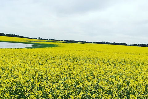 Cycle Tour | Self-Guided | Bellarine Peninsula Victoria | Food & Wine Region - Find Attractions 5