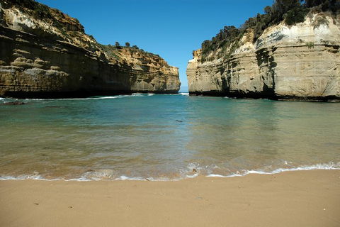 Great Ocean Road Tour Plus Koalas, Forest Walk And Morning Tea. - Find Attractions 4