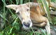 Peninsula Nature Tour - thumb 7