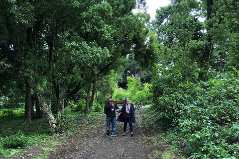 Alices Journeys Guided Walking Tours Of Daylesford - Find Attractions 5