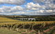 LGBT+ Friendly Full Day Yarra Valley & Dandenong Ranges Private Tour - thumb 0