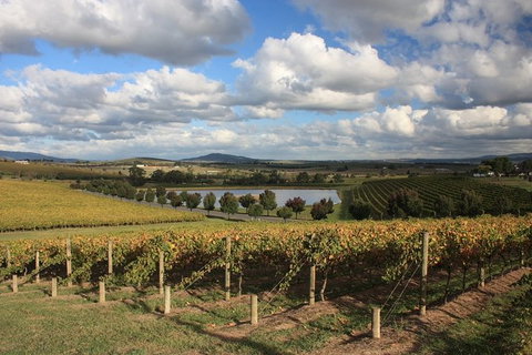 LGBT+ Friendly Full Day Yarra Valley & Dandenong Ranges Private Tour - Find Attractions 0