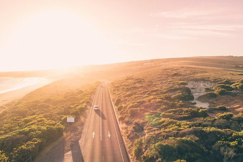 LGBT+ Friendly 2 Day Private Great Ocean Road Tour - Find Attractions 1