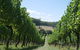 Private Winery Tour - thumb 0
