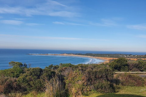 Private Great Ocean Road And Chocolaterie Tour With Tasting - Find Attractions 5
