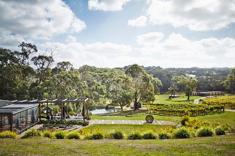 Mornington Peninsula 2-6 Guests Lunch At Merricks General Wine Store Or RareHare - Find Attractions 1