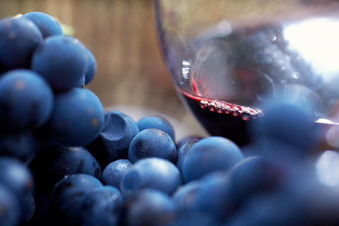 Mornington Peninsula 2-6 Guests Lunch At Merricks General Wine Store Or RareHare - Find Attractions 8