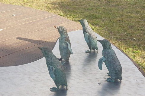 Phillip Island Penguin And Wildlife Tour - Find Attractions 14