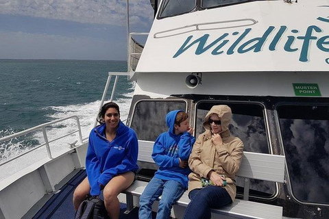 Phillip Island Penguin And Wildlife Tour - Find Attractions 15