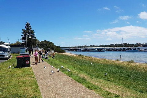 Phillip Island Penguin And Wildlife Tour - Find Attractions 25