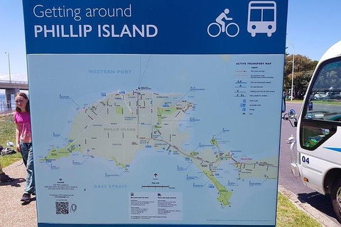 Phillip Island Penguin And Wildlife Tour - Find Attractions 28